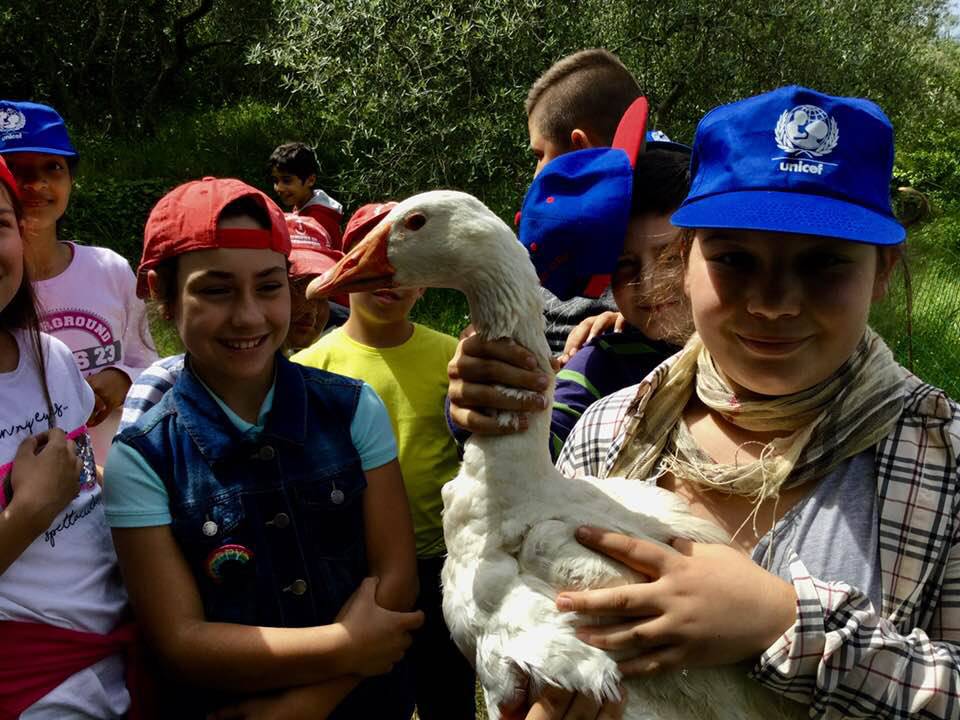 Seborga, giornata in fattoria per i bambini di Bordighera