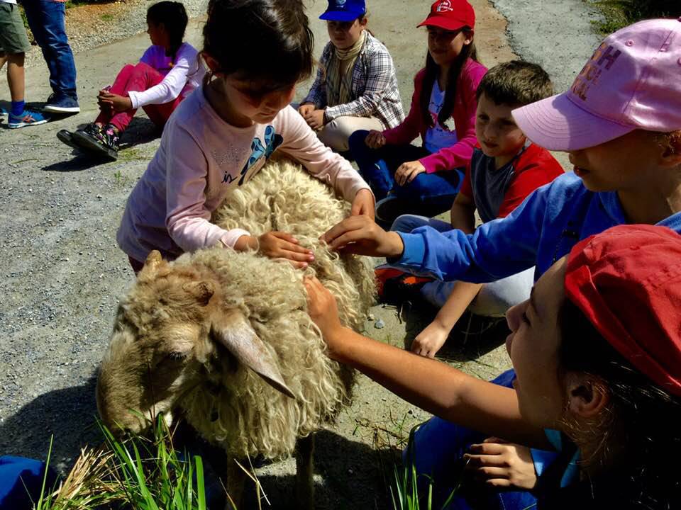 Seborga, giornata in fattoria per i bambini di Bordighera