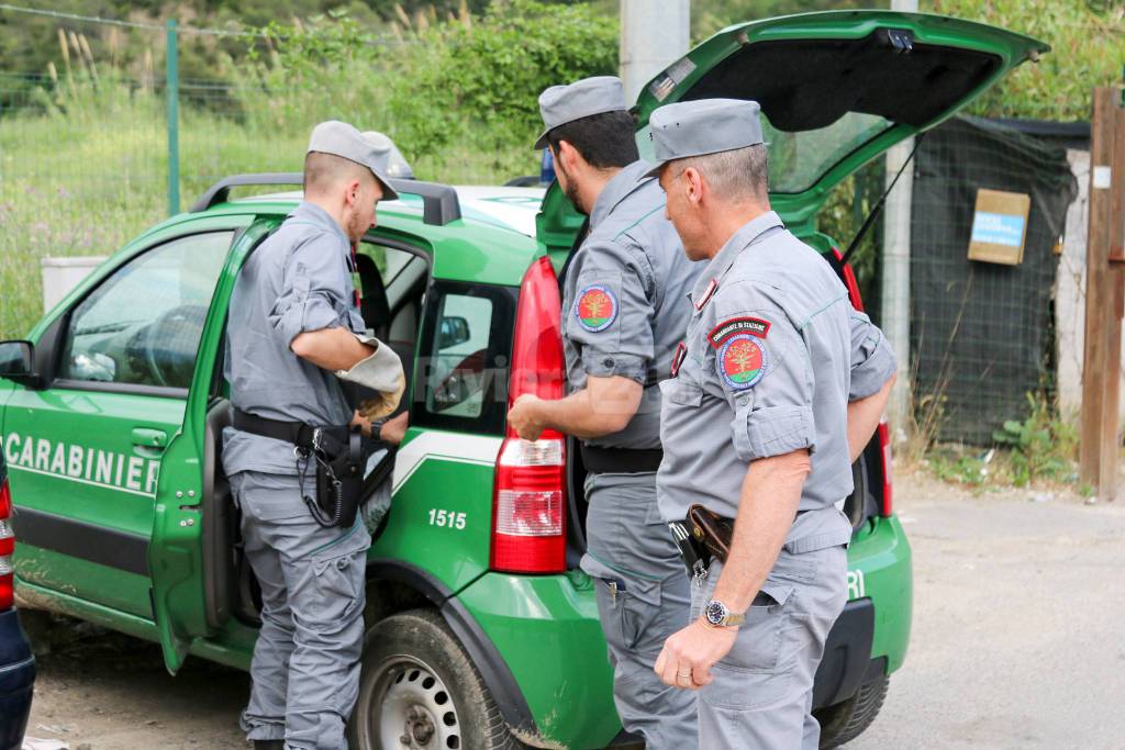 Carabinieri forestali di Ventimiglia arrestano presunto piromane. Ai domiciliari 60enne bordigotto