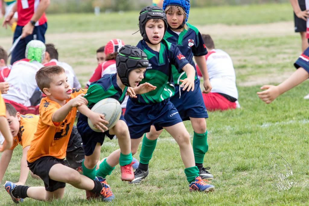 Imperia Rugby, oltre 400 gli atleti impegnati al “Pino Valle”