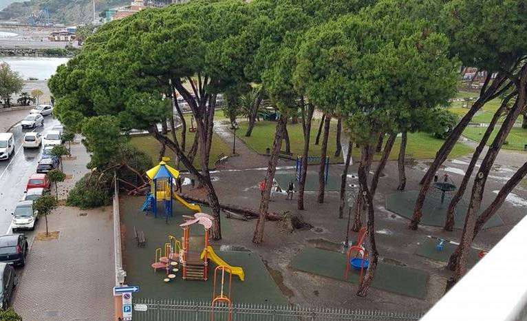 Ventimiglia, tragedia sfiorata ai giardini Reggio: al via verifiche su 112 pini a rischio crollo