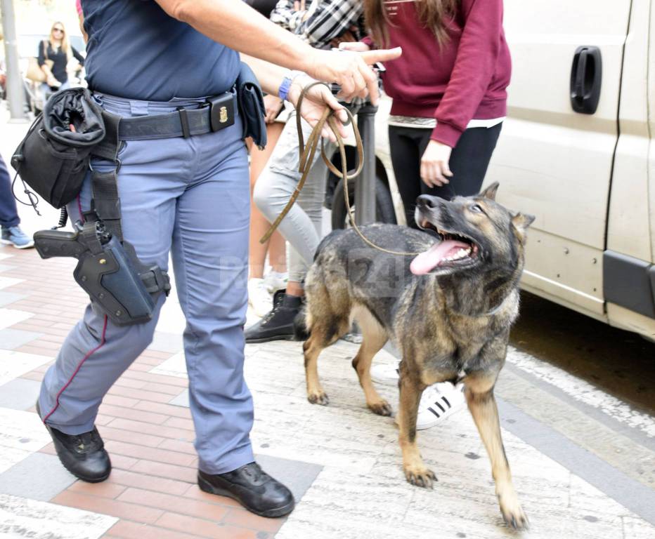 riviera24 - Cane antidroga nelle scuole a Sanremo 