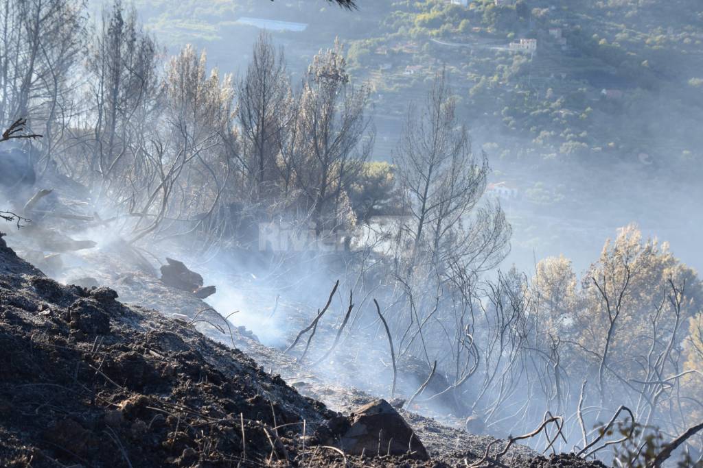 Fiamme domate Madonna Neve 