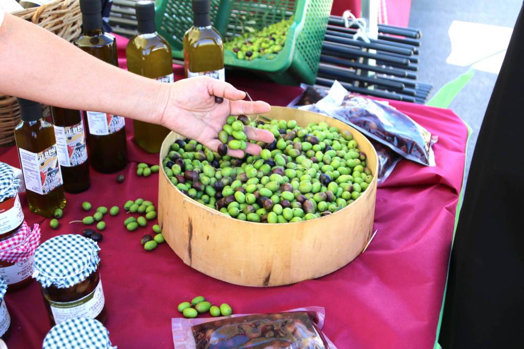 Continua la battaglia di Coldiretti per il riconoscimento della Dop alla Taggiasca