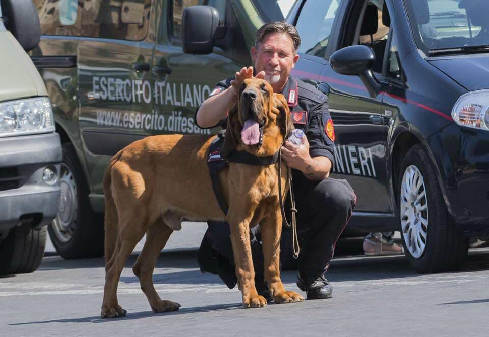 E’ morto Gringo, il cane dei carabinieri che partecipò alle ricerche di Paola Gambino a Bordighera