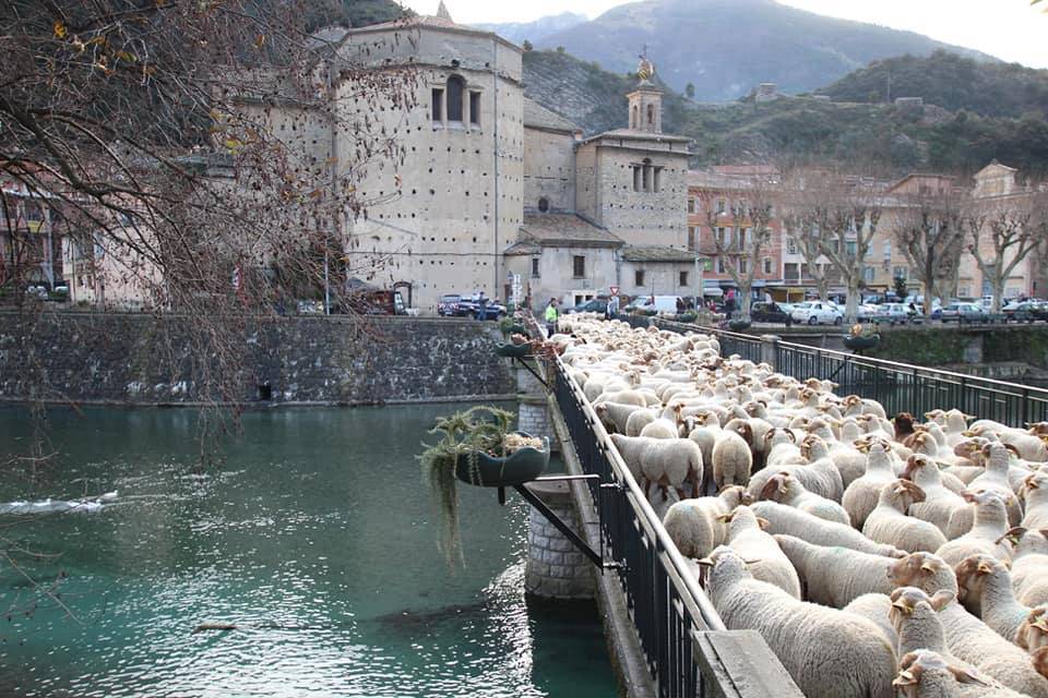 A Breil-sur-Roya lo spettacolo delle pecore in transumanza