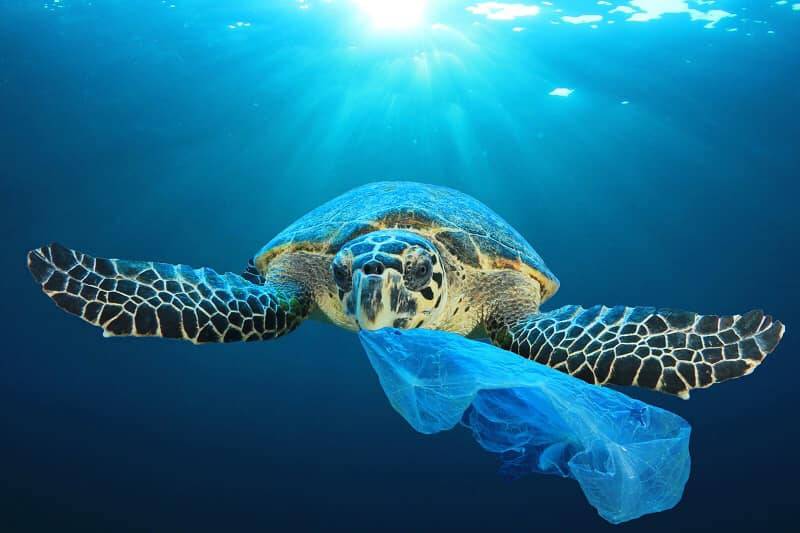 Diano Marina, il consigliere Marco Ghirelli presenta una mozione “Plastic-free”