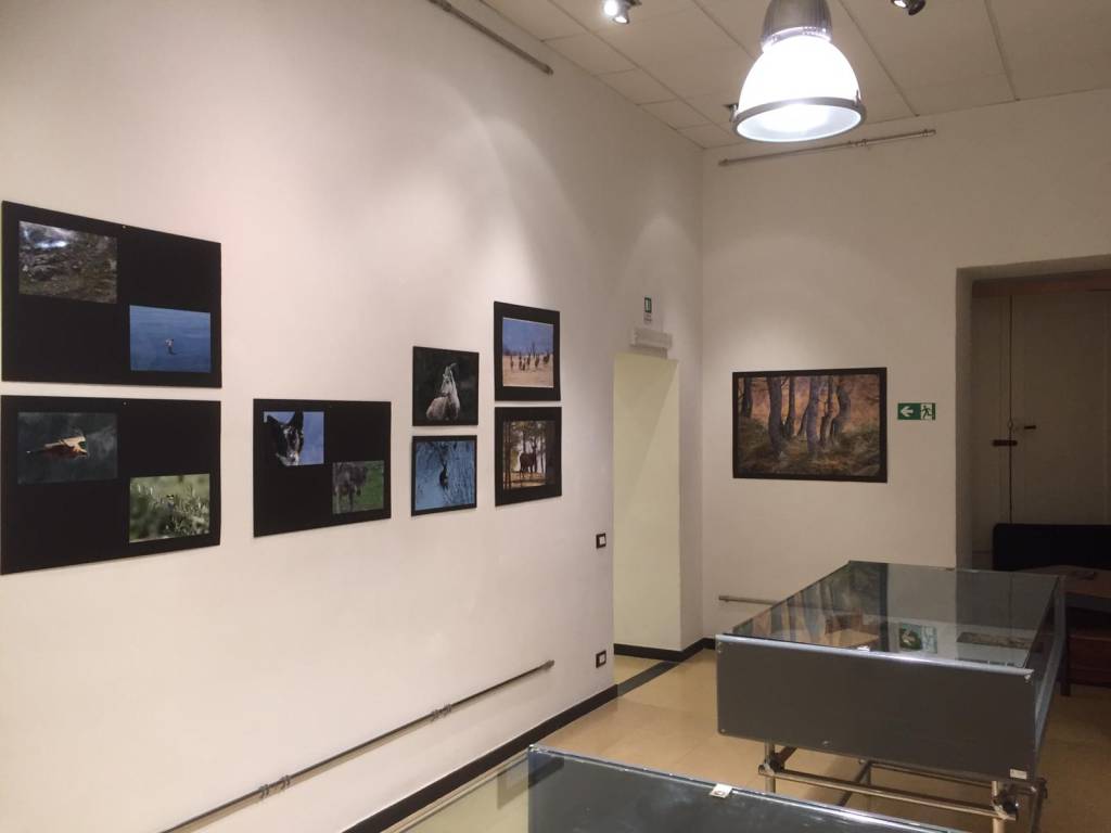 “Sguardi contemporanei”, la mostra fotografica di Flaminio Sessa a Imperia