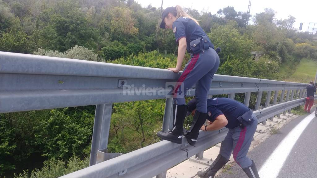 Imperia, litiga con camionista rivale e gli spara in A10: le immagini