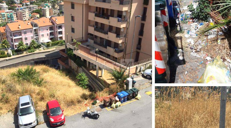 Topi in strada carrozzabile San Lorenzo, la segnalazione dei residenti