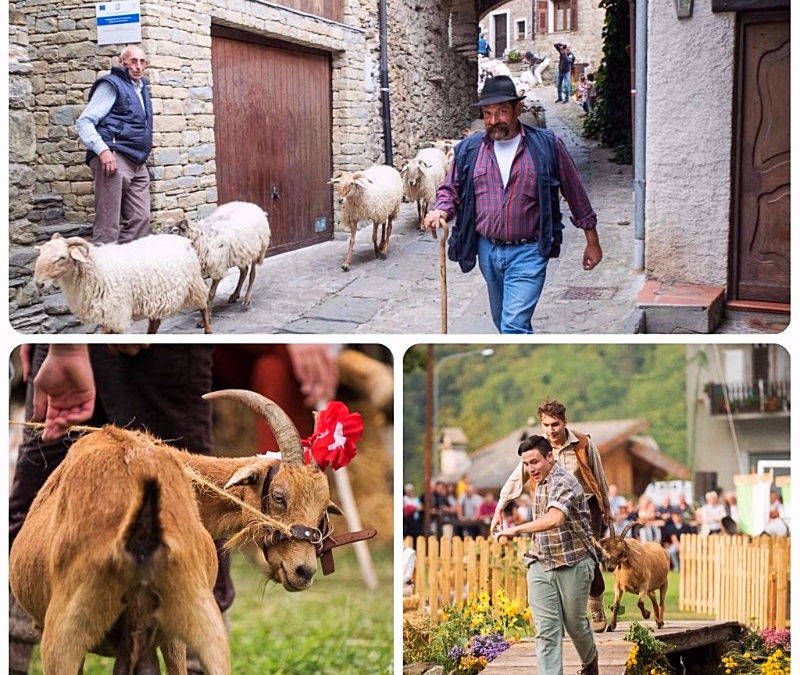 Torna la “Festa della Transumanza” a Mendatica