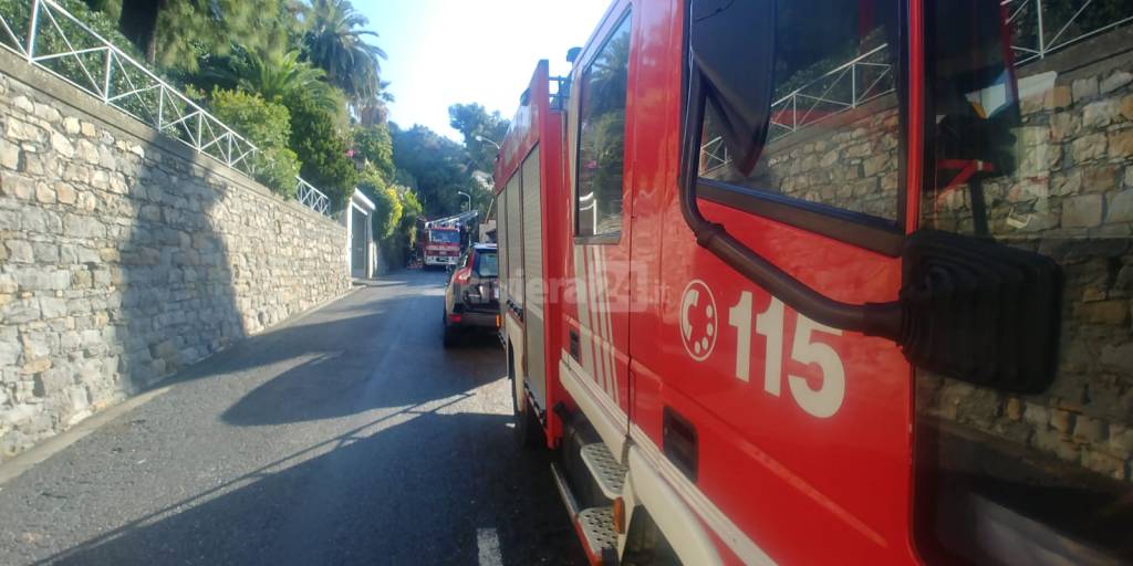 Vigili del fuoco in azione per rimuovere il pino crollato ospedaletti