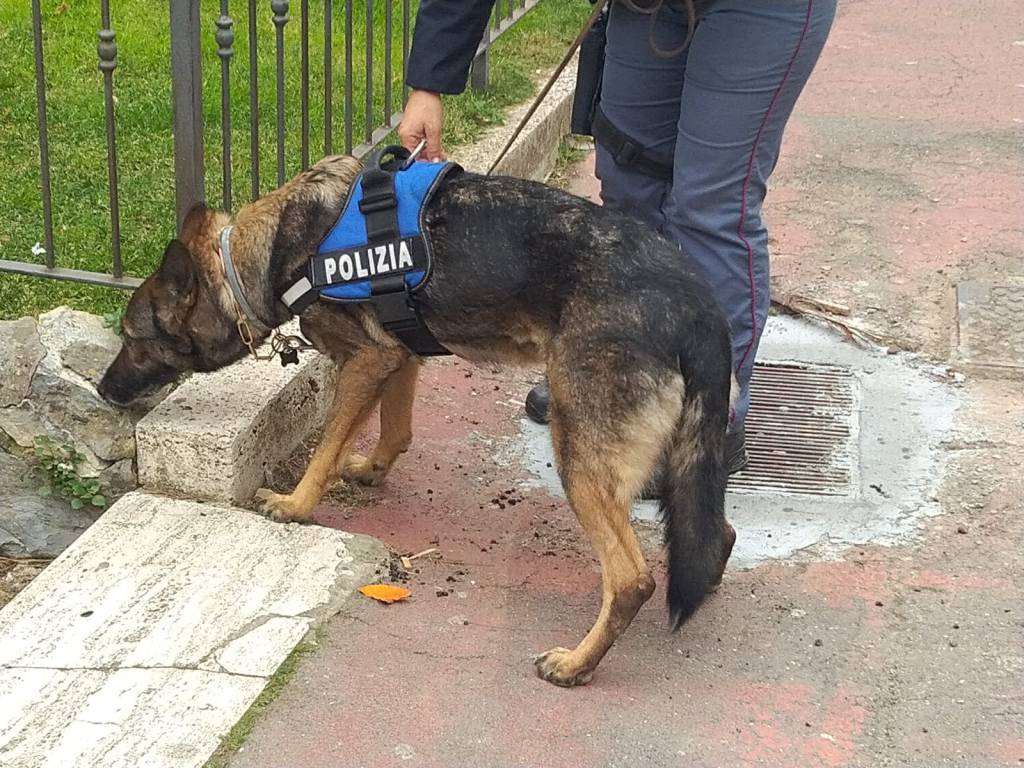 Imperia, controlli antidroga nelle scuole: polizia e cani all’istituto Marconi e al Polo Tecnologico Nautico