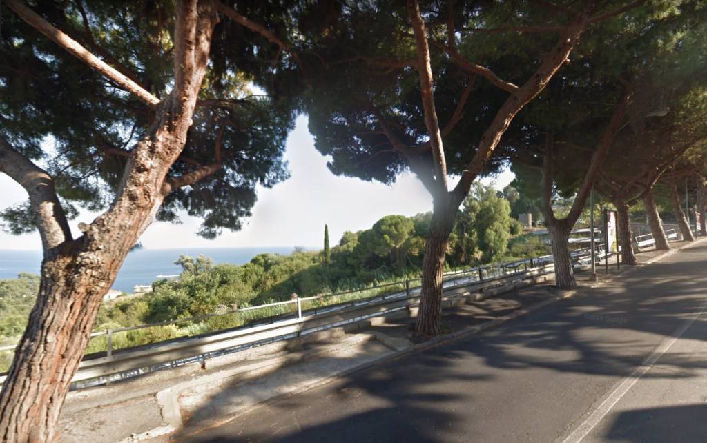 Sanremo, strage di pini marittimi in via Padre Semeria. Ne verranno abbattuti 13