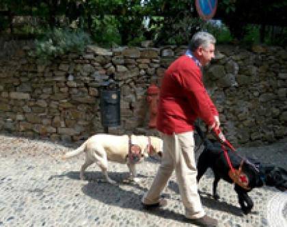 Coronavirus, Vittorino Biglia (Unione Italiana Ciechi): «Come farà il mio cane Spritz ad assicurare l’accompagnamento?»