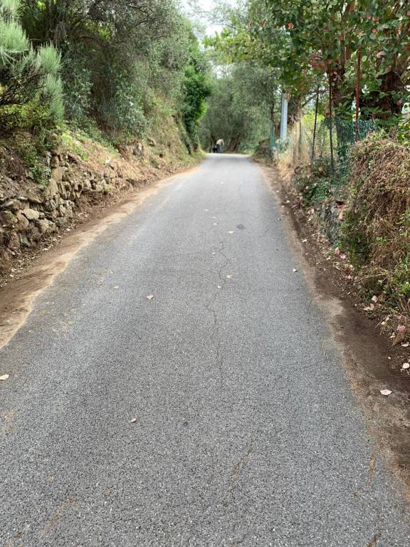 Vallebona, consiglieri e volontari in prima linea per pulire le strade del territorio