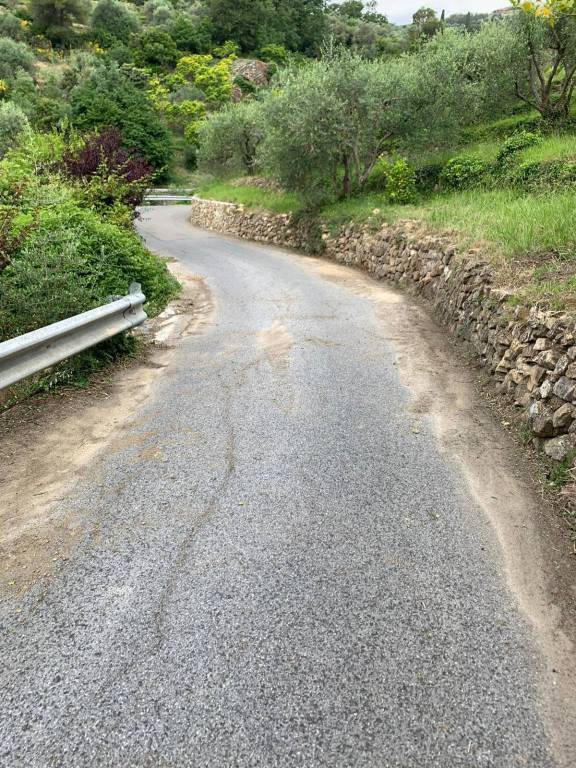 Vallebona, consiglieri e volontari in prima linea per pulire le strade del territorio