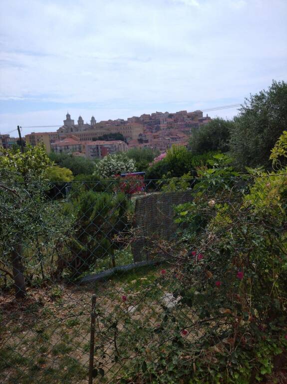 Imperia, le colline dell’Armanna e Romita ritornano a splendere