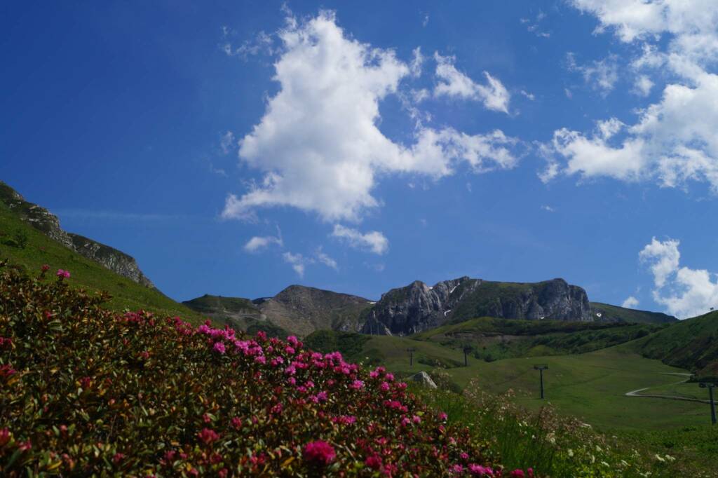 Limone, tutti gli eventi dal 17 al 23 agosto