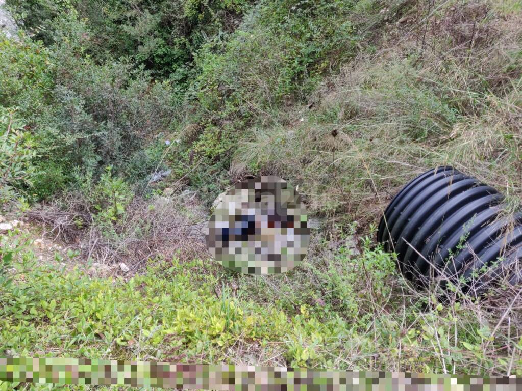 Ventimiglia, trovato cadavere in un fosso. Indagini dei carabinieri