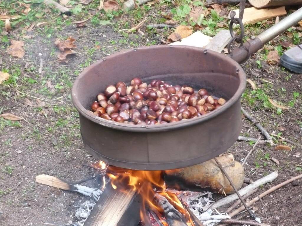 “Porte aperte” e nuove attività tecnico–pratiche alla scuola forestale di Ormea