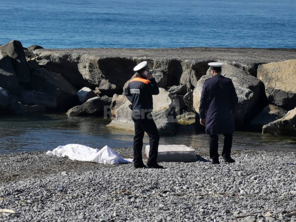 Delfino senza vita tra gli scogli a Ventimiglia