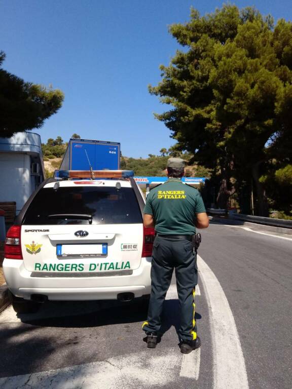 Imperia, abbandono di animali in autostrada: Rangers D’Italia in servizio sull’A10