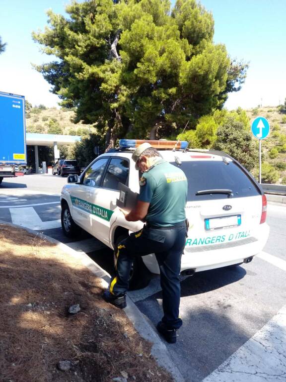 Imperia, abbandono di animali in autostrada: Rangers D’Italia in servizio sull’A10