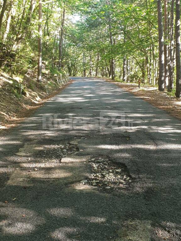 riviera24 - Buche sulla provinciale tra Bajardo e Bignone