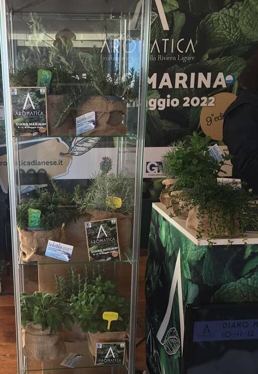 Aromatica 2022 in anteprima a Olioliva