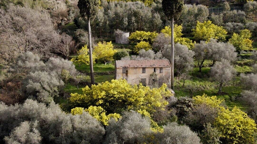 Bordighera su Geo&Geo