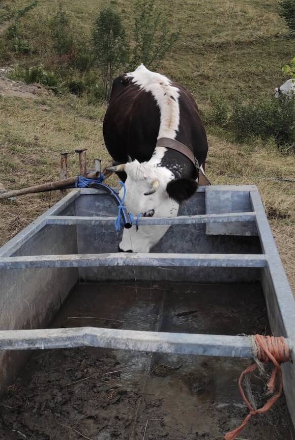 Crisi idrica, acqua razionata in due frazioni di Pieve di Teco. Ordinanze anti spreco in nove comuni