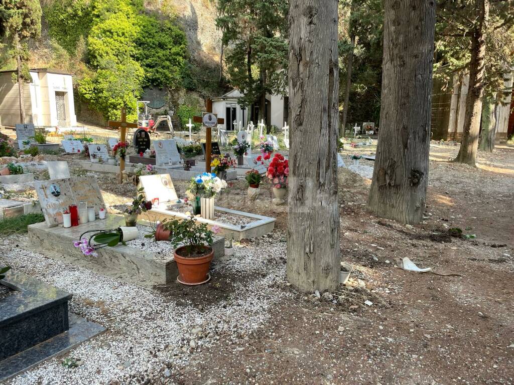 Ventimiglia, cinghiali devastano le tombe del cimitero di Roverino