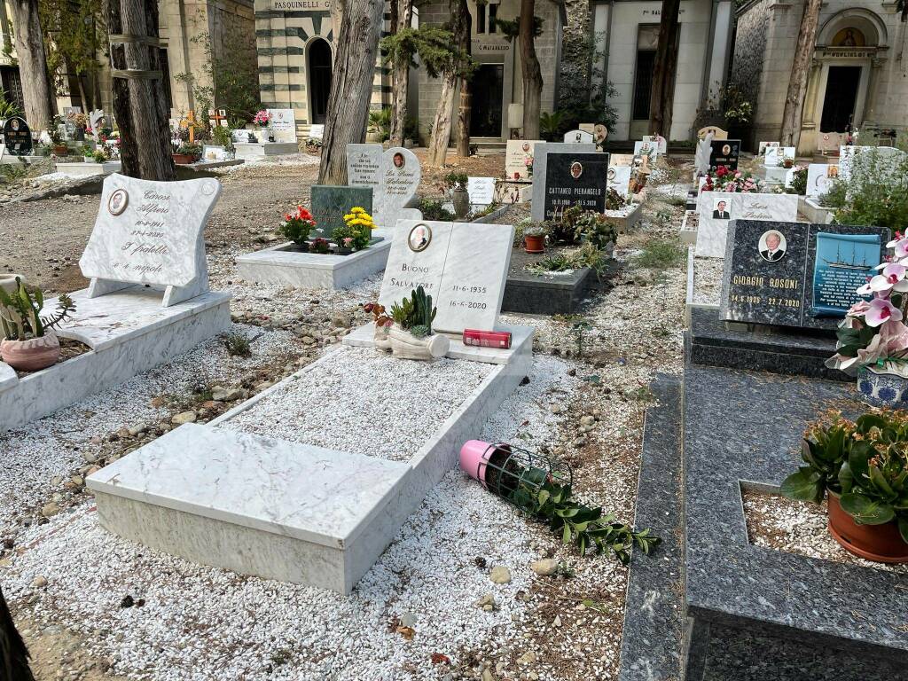 Ventimiglia, cinghiali devastano le tombe del cimitero di Roverino