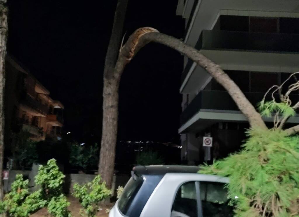 Vallecrosia, ramo crolla su un’auto nella notte in via Angeli Custodi