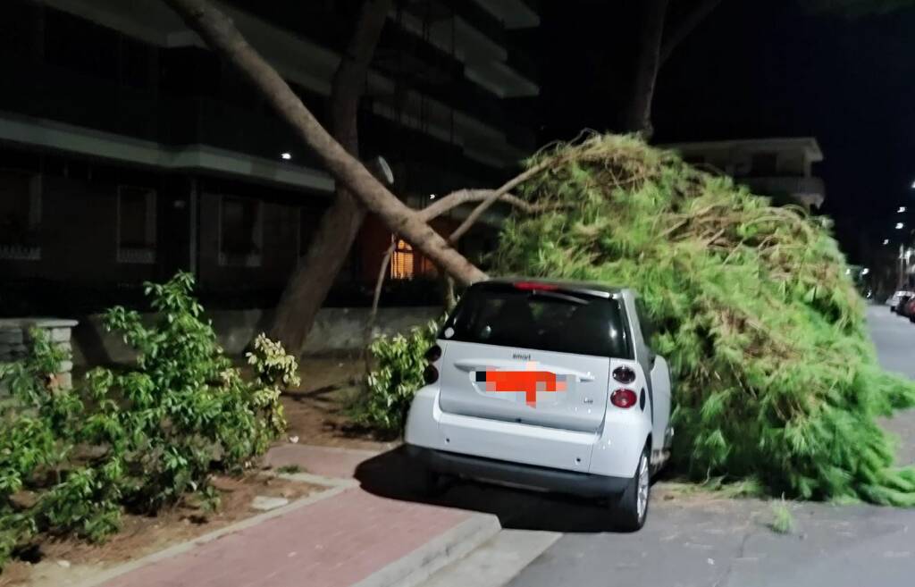 Vallecrosia, ramo crolla su un’auto nella notte in via Angeli Custodi