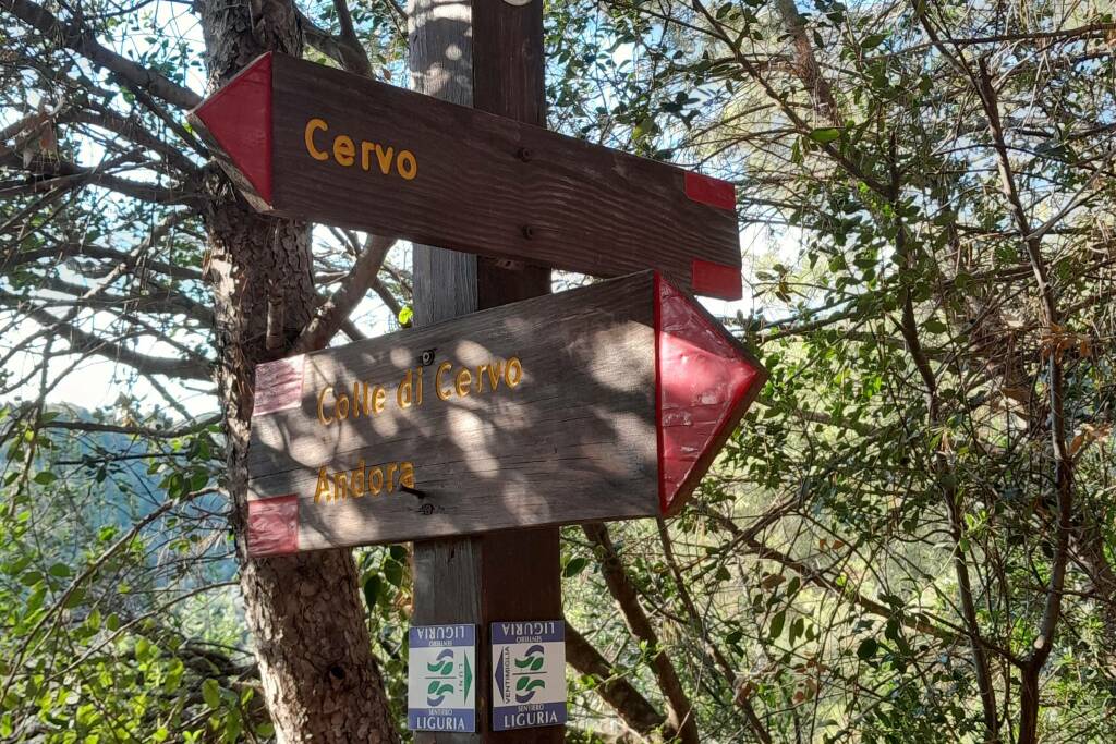 Cervo, lanciata una raccolta fondi per il parco sensoriale del Ciapà