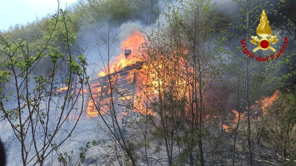 incendio boschivo vessalico