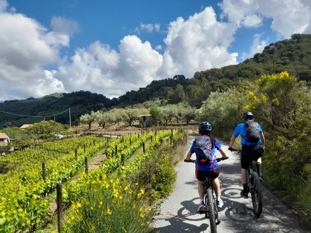 Ventimiglia Wine Festival