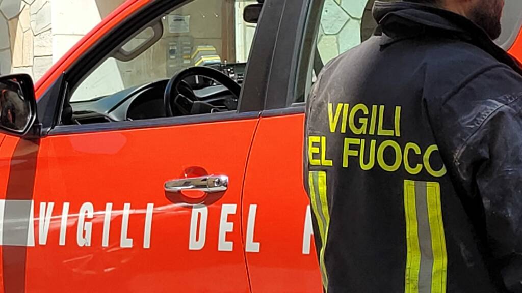 Dolcedo, cervo infilzato in un cancello: intervengono i vigili del fuoco