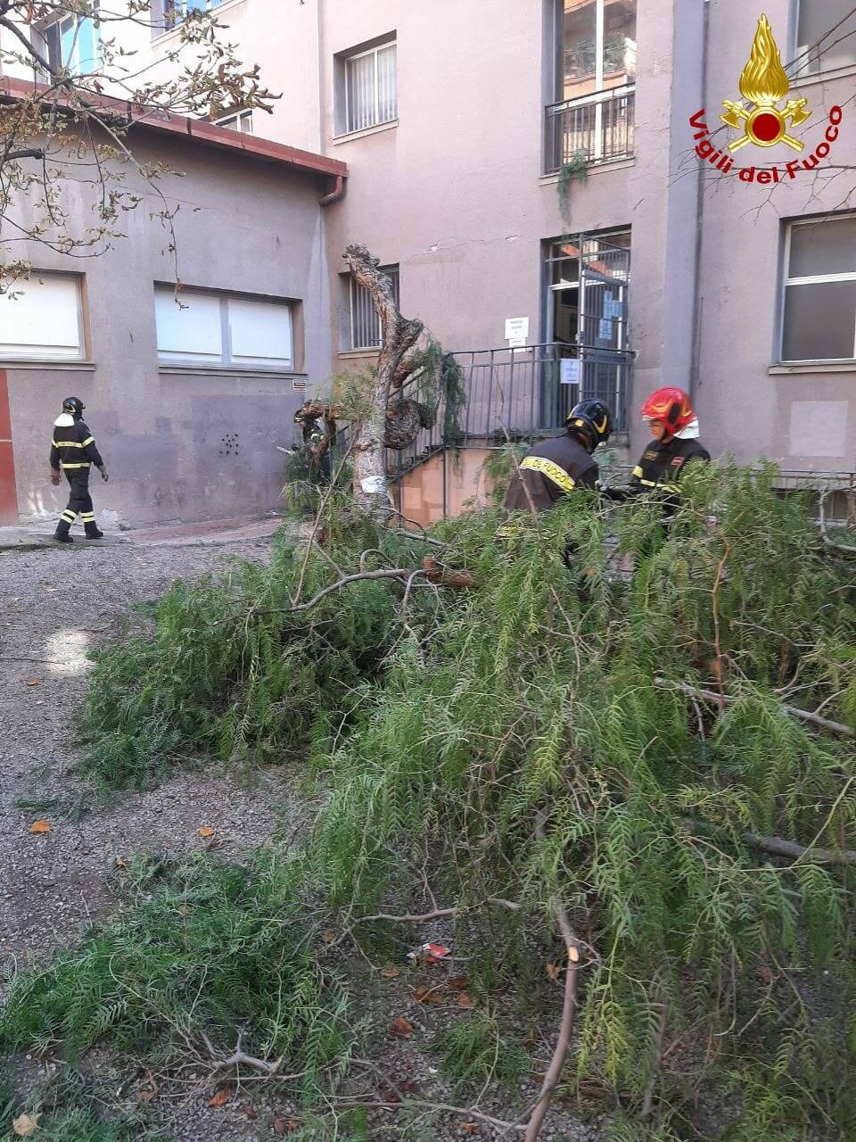 vigili del fuoco scuole biancheri