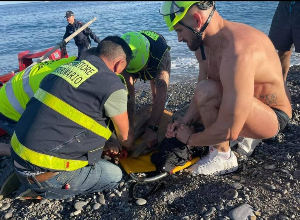 Capriolo annegato, il recupero