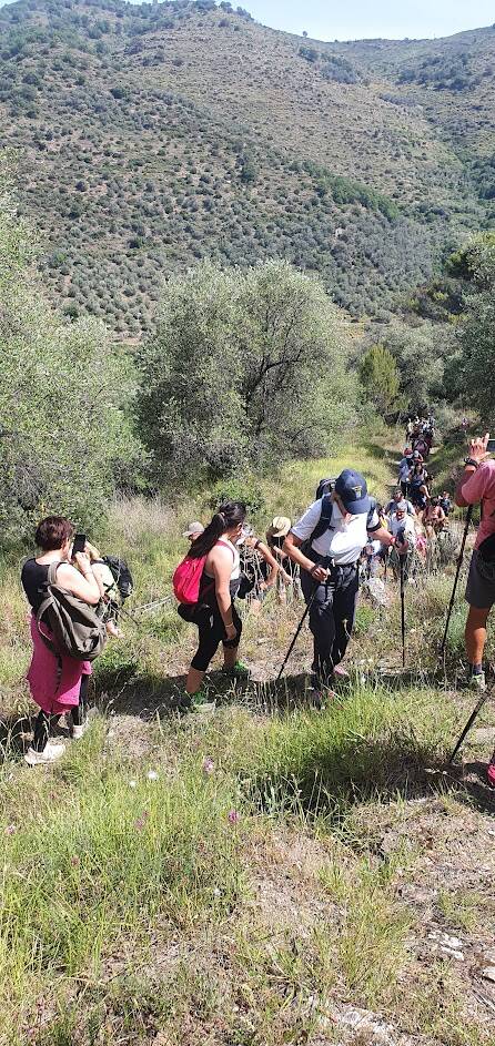 Pietrabruna, 15 e 16 giugno due giorni di benessere negli uliveti e di scoperta del territorio