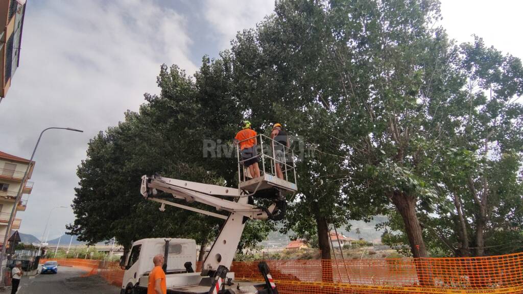 Sopralluogo carabinieri forestali