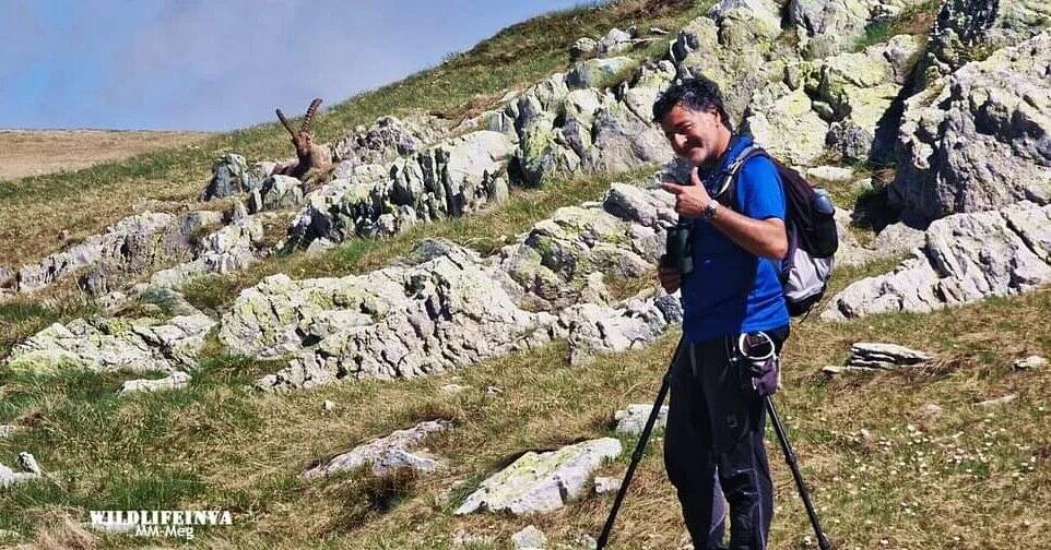 Civezza si illumina di natura: proiezione del documentario \"Wildlife in Valle Argentina\"