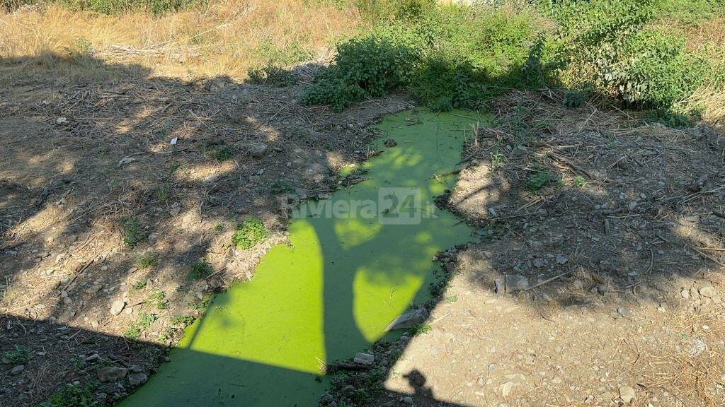 acqua verde nel torrente impero