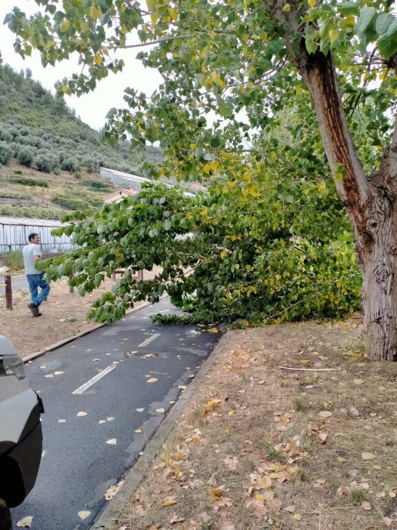 Maltempo, la bufera di Ferragosto risparmia Taggia