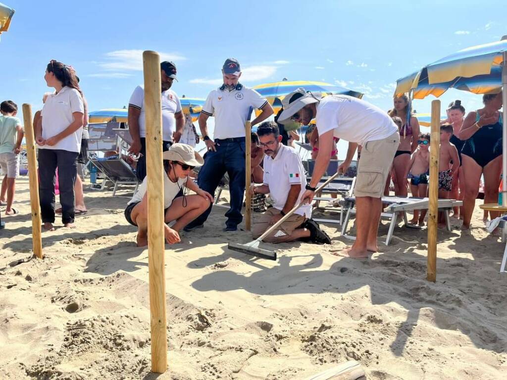 Tartarughe marine ad Arma di Taggia