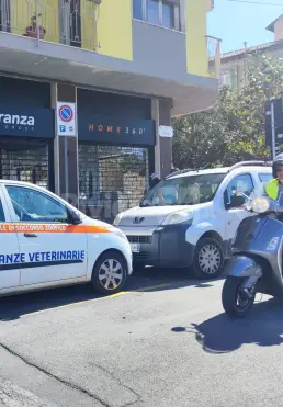 Ventimiglia, ambulanza veterinaria multata dai vigili. Cassini: «E’ la terza sanzione, sono disgustato»